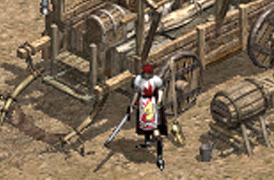 portrait6ani.gif